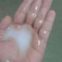 APROVEITEM CAMILA LOPES SUPER ACTIVA POUCO DIAS EN