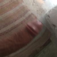 CHICO JOVEN . OFREZCO MIS SERVICIOS SIN LÍMITES