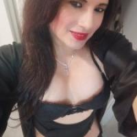 TRANS REINA DEL FRANCÉS FIESTERA