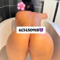 F.I.E.S.T.E.R.A ARDIENTE PLAY BOY